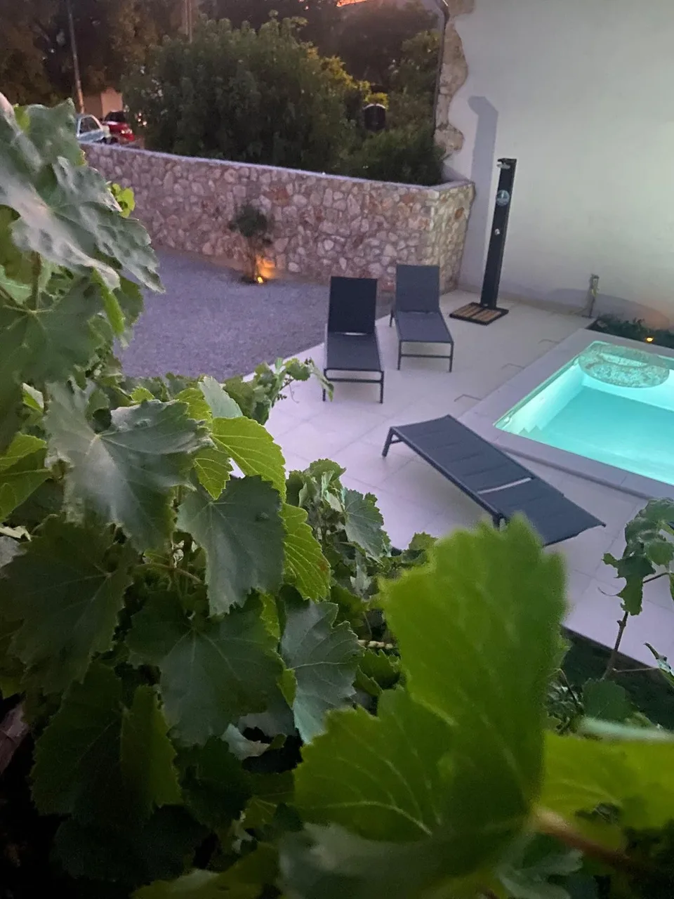 The lit pool at dusk, seen through vine leaves