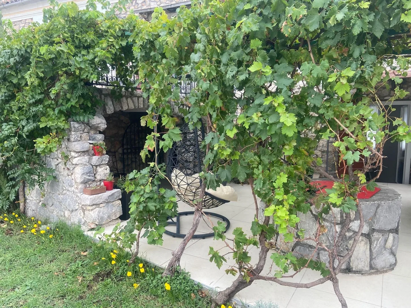 The vine pergola over the terrace, a hanging chair beneath